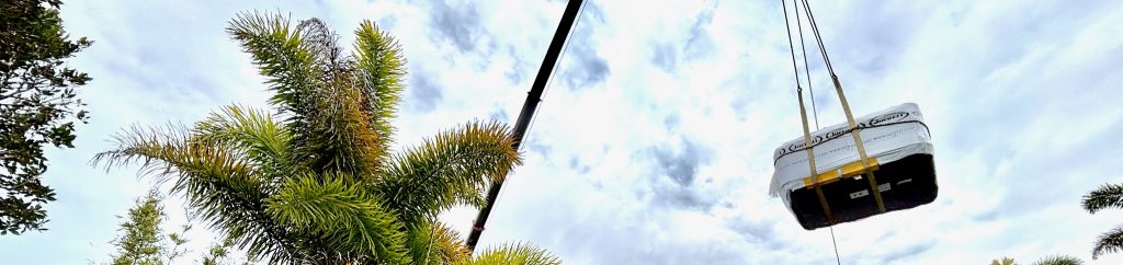 Spa on a crane with a palm tree to the side